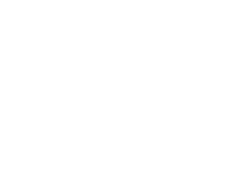 CRS Celik-Reinigungsservice